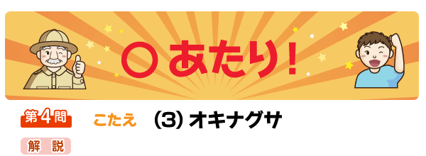 問4あたり