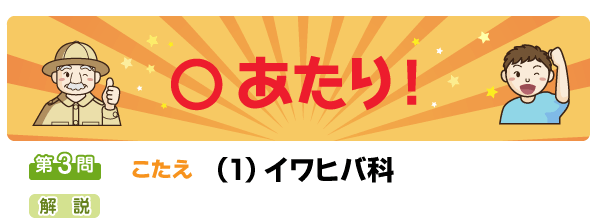 問3あたり